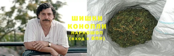 мдпв Михайловск