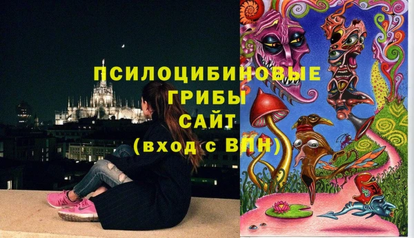 мдпв Михайловск