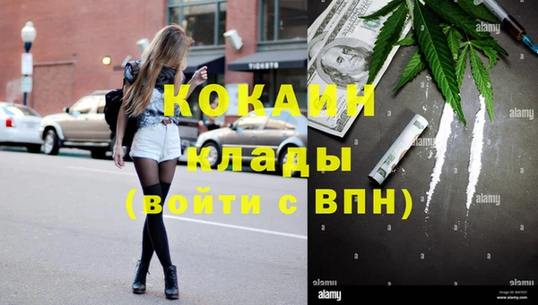 сатива Навашино