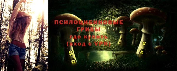 сатива Навашино