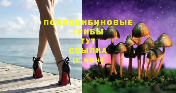 сатива Навашино