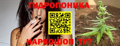 apvp Донской