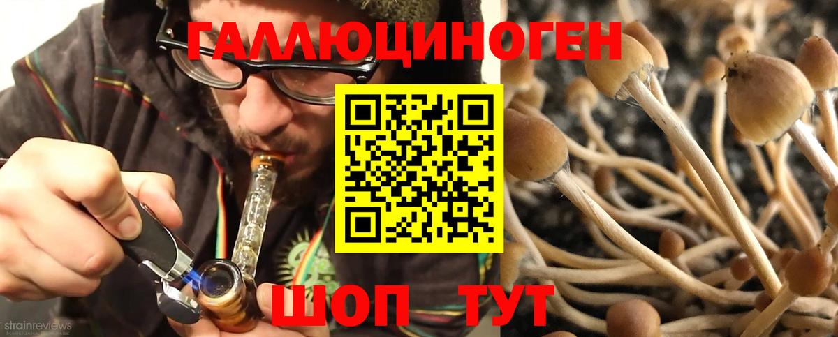 Псилоцибиновые грибы GOLDEN TEACHER  Вход с VPN  Лабытнанги 